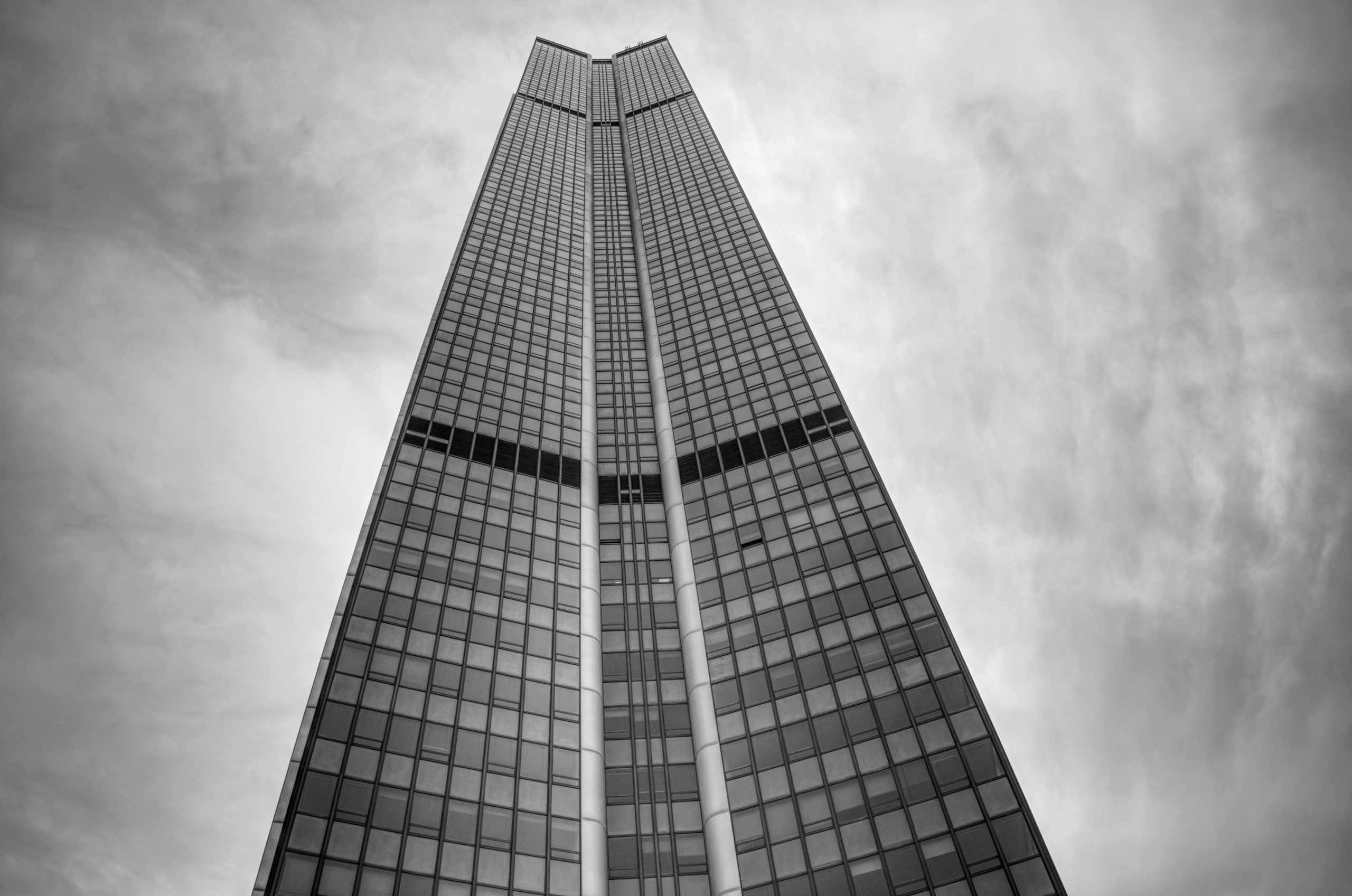 Passionate About Your Success